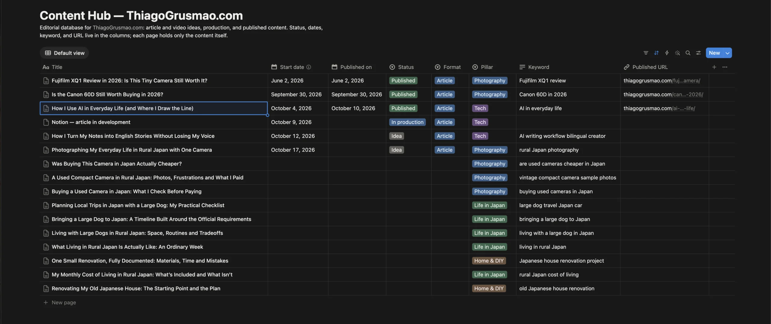 Notion Content Hub database for editorial planning and published articles.